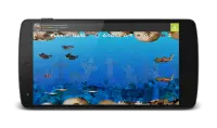 Wonder Fish Free Games HD Screen Shot 1