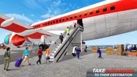 Airplane Flight Pilot Simulator 2018 Screen Shot 8