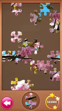 Tap Tap Jigsaw Puzzles: Free HD image puzzles Screen Shot 1