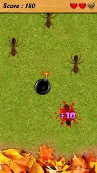النمل سحق لعبة مجانية Screen Shot 1