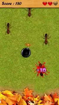 Ant Smash Jogo Grátis Screen Shot 1