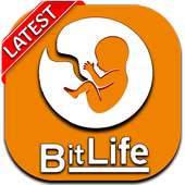 New BitLife : Life Simulator Game Guia for Android