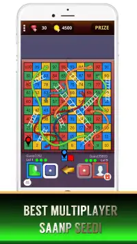 Ludo Snake Ladder Saanp Seedi Screen Shot 0