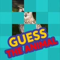 Guess The Picture (Animal)