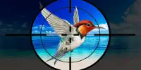 Wild Birds Hunting 2019- Bird Hunter 3D Screen Shot 1
