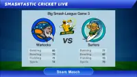 Smashtastic Cricket Screen Shot 3