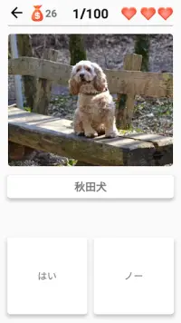 39/5000 犬のクイズ - 写真の中のすべての犬の品種を推測する Screen Shot 6