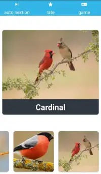 Animal Sounds Learn With Game Screen Shot 4