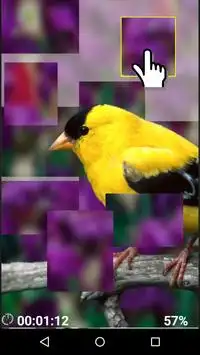 Птички - логическая игра Screen Shot 0