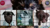 Puppy Dog Puzzle Slide - Sliding Tiles Game Screen Shot 0