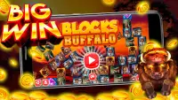 Buffalo Blocks Screen Shot 1