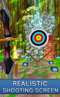 Archery Target Shooting Sim Screen Shot 4