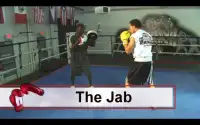 Boxing Training and Techniques Screen Shot 2