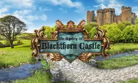 Blackthorn Castle Screen Shot 0