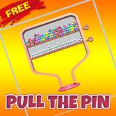 Pull The Pin Brain Game