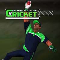 Cricket Fielder Challenge