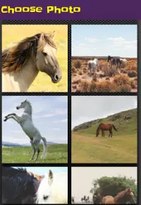 لعبة ترتيب الصور - صور خيول Screen Shot 0