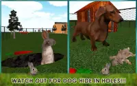 Zwierzęta Królik vs pies Atak Screen Shot 10