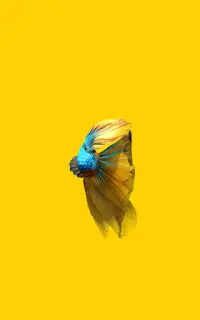 Betta Fish 3D Lite Screen Shot 11