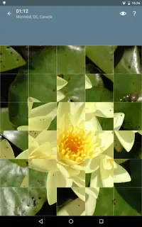 Quebra-Cabeça: Flores Screen Shot 12