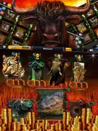 Golden safari casino Screen Shot 2