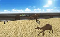 การแข่งรถ Camel Race Dubai Camel Simulator Screen Shot 4