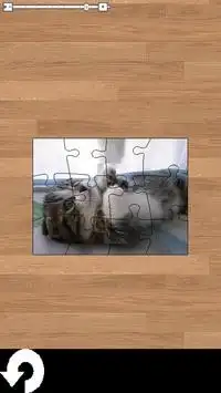 面白かわいい猫ちゃん動画ジグソーパズル Screen Shot 2