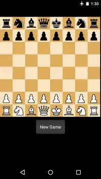 Chess Pro Screen Shot 1