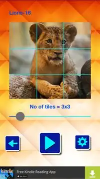 Lion and Big Cats-Puzzle Slide Screen Shot 3