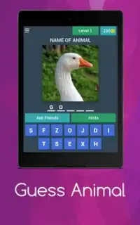 Animals Quiz Screen Shot 14