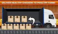 USA drób Rolnictwo: Kurczak i Kaczka hodowli Screen Shot 3