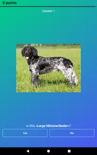 Dog Quiz: Guess the Breed — Game, Pictures, Test Screen Shot 14