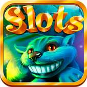 Slots Wonderland Free Casino