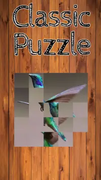 Classic Puzzle Screen Shot 1