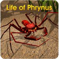 Life of Phrynus - Whip Spider