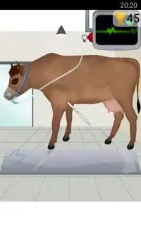 cow surgery games Screen Shot 4