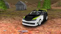 Rally Car Racing Simulator 3D Screen Shot 3