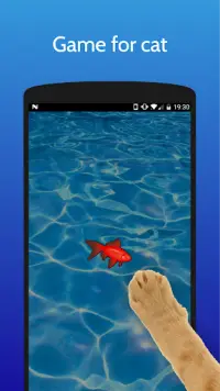 Jeu pour chat et chien | poisson Screen Shot 0