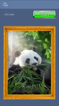 Homescape Puzzle - Panda Jigsaw Screen Shot 2