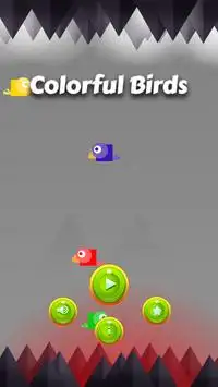 Colorful Birds Screen Shot 0