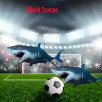 Dolphin Stars Soccer Screen Shot 0