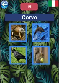 Imparare i nomi degli animali |    10 lingue Screen Shot 2