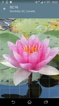 Jigsaw Puzzle: Flowers Screen Shot 1