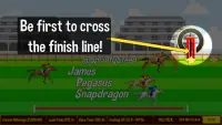 Sprinty Steed Horse Race Game Screen Shot 4