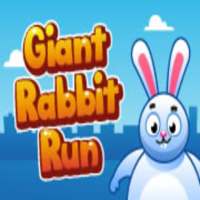 Giant Rabbit Run