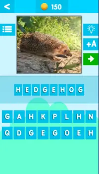 Guess the Animal Quiz Screen Shot 3