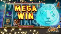 Tiger Treasure Slot Machine Screen Shot 5