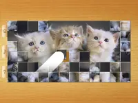 Cat Puzzles - Drag & Swap Screen Shot 12