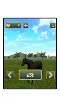 Sumba Runner : Endless Horse Runner Screen Shot 6