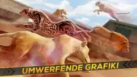 Leoparden gegen Löwen! Wild Savanne Rennen Spiel Screen Shot 7